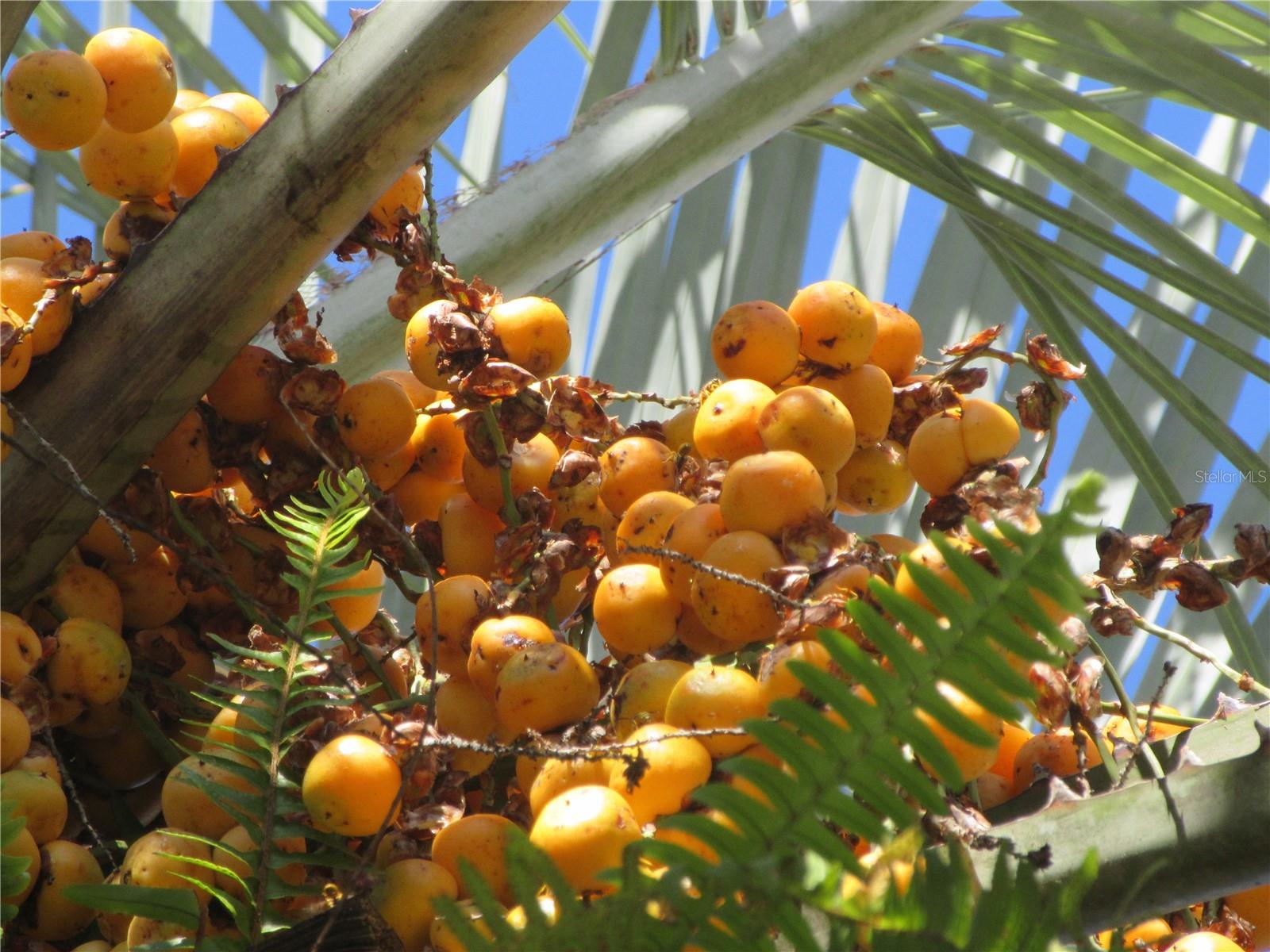 Image 25 of 100 For 1605 160th Court