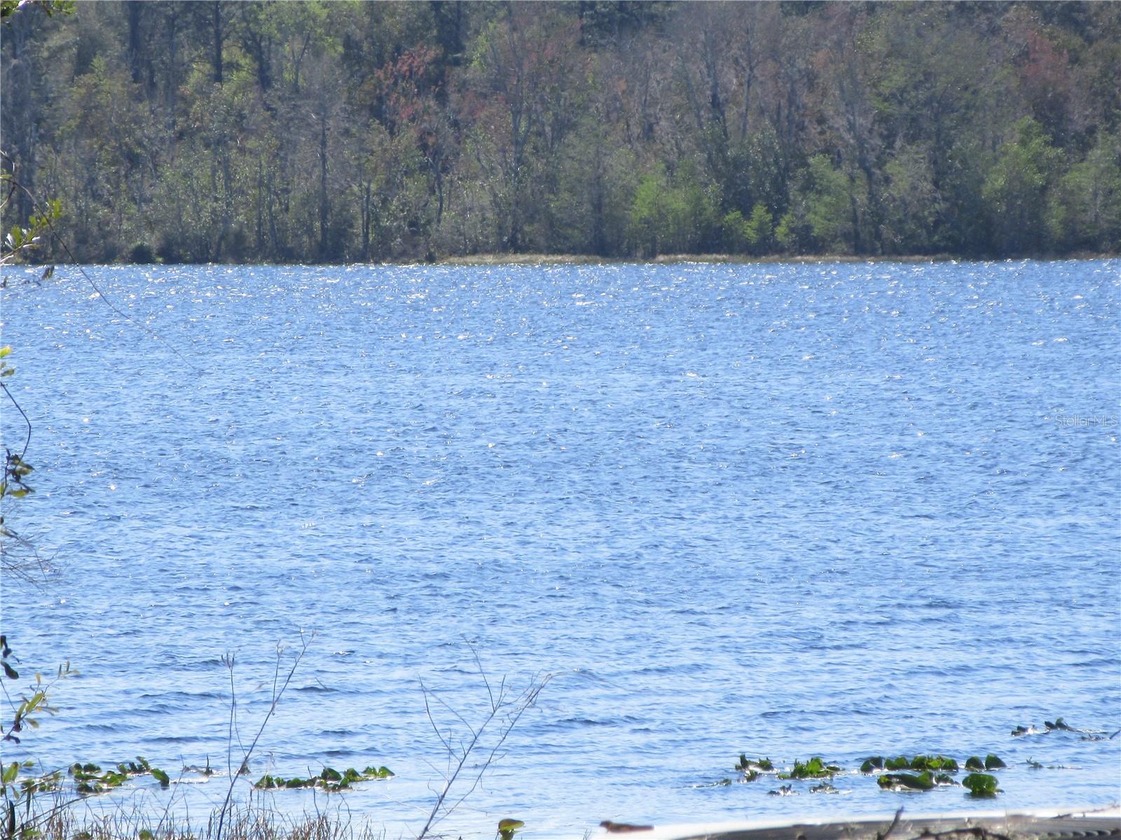 Image 87 of 100 For 1605 160th Court