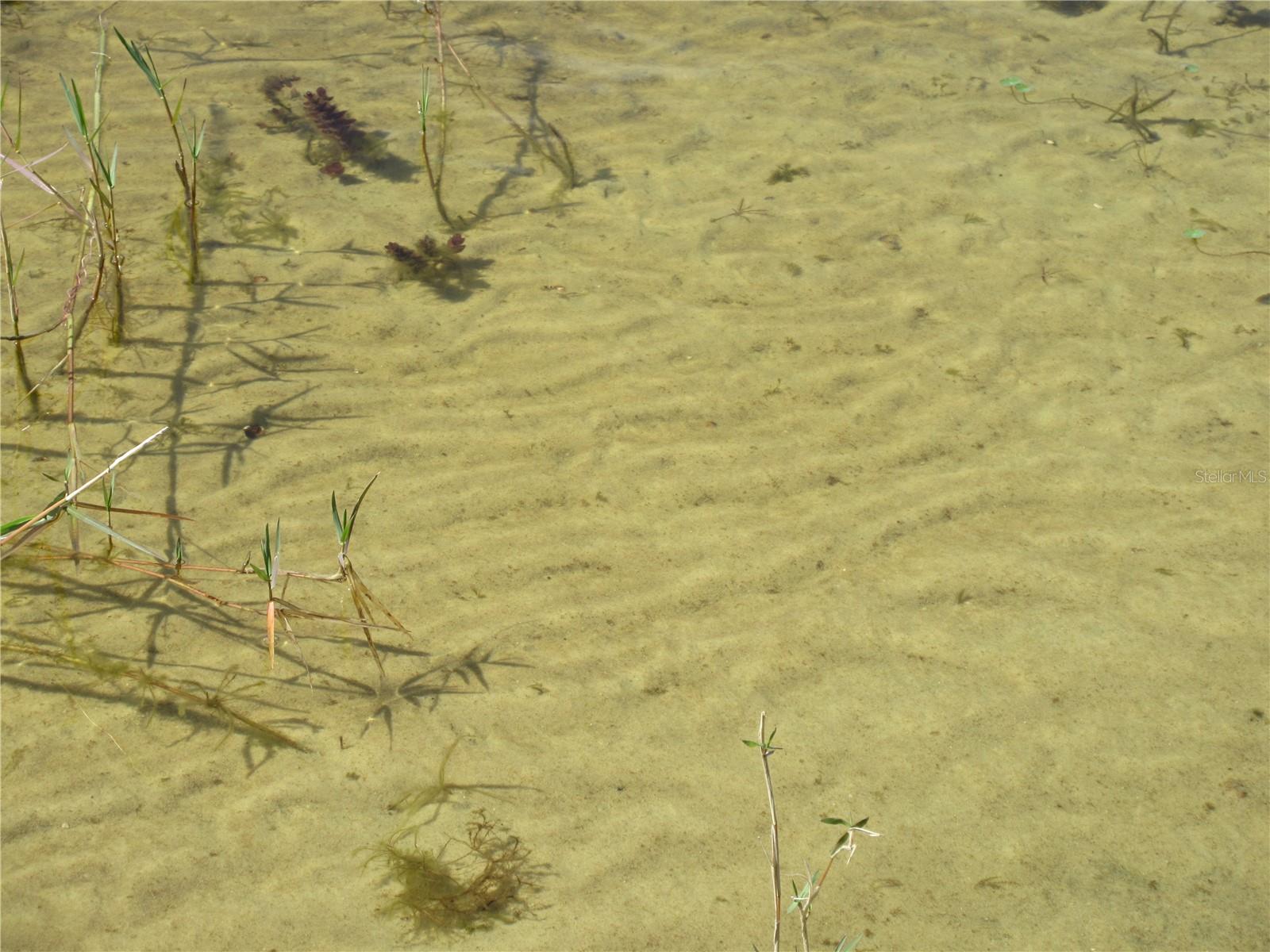 Image 93 of 100 For 1605 160th Court