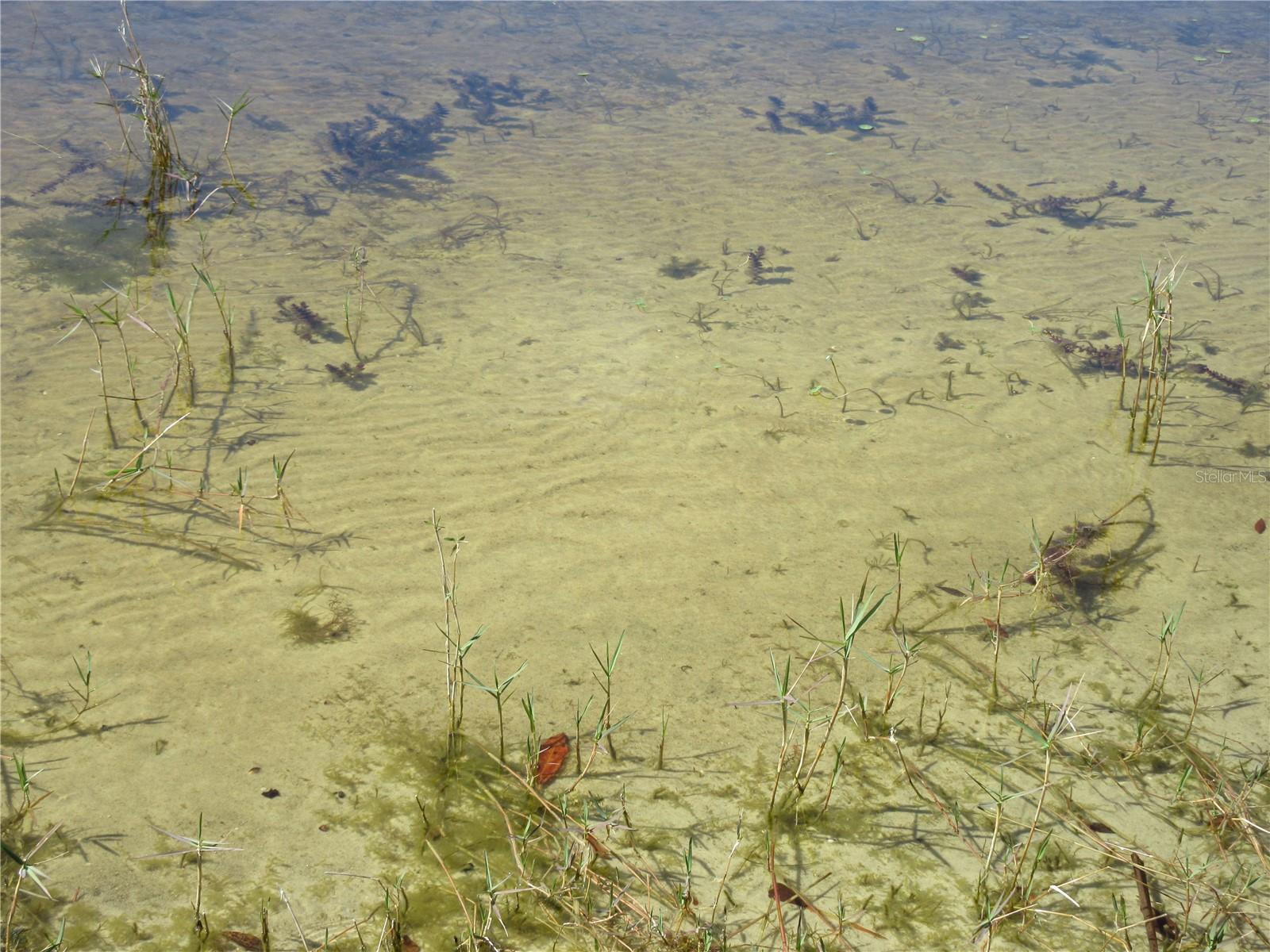 Image 94 of 100 For 1605 160th Court