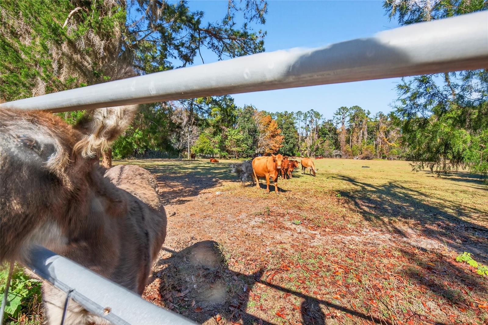 Image 24 of 45 For 15340 65th Avenue Road