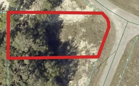 Details for 00 Maple Lane, OCKLAWAHA, FL 32179