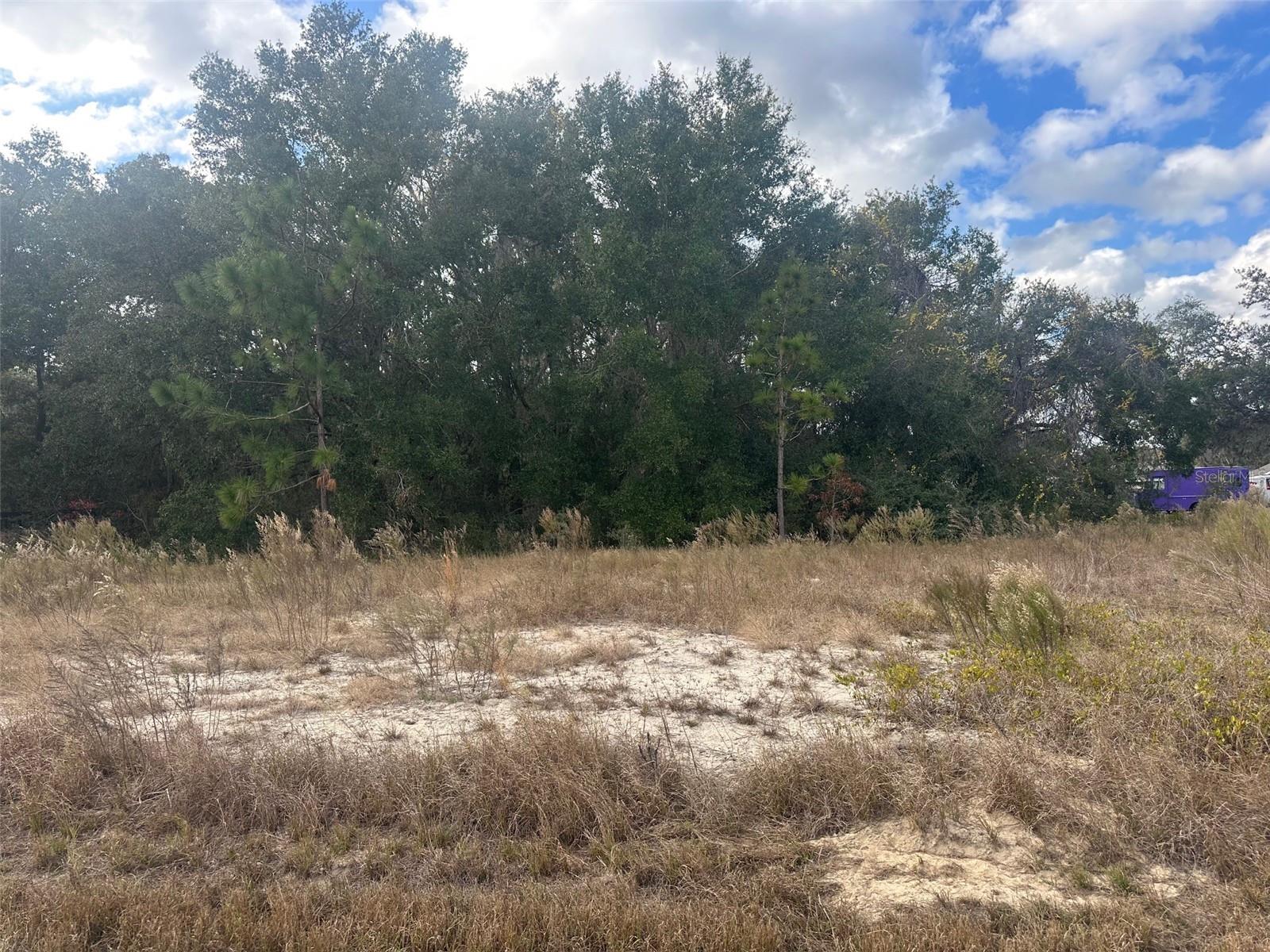 Image 5 of 9 For 00 Maple Lane