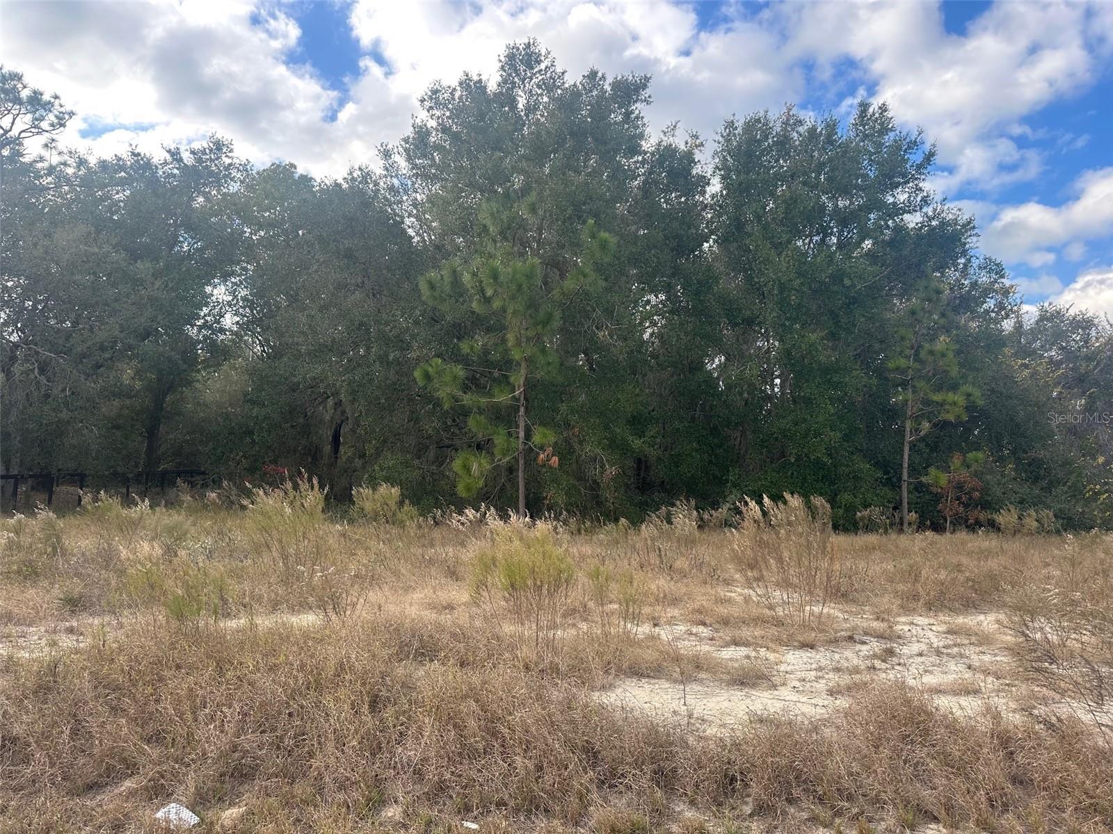 Image 6 of 9 For 00 Maple Lane