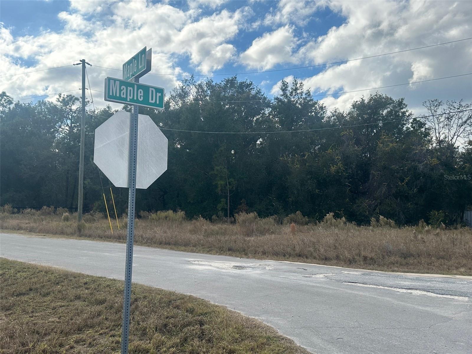 Image 9 of 9 For 00 Maple Lane