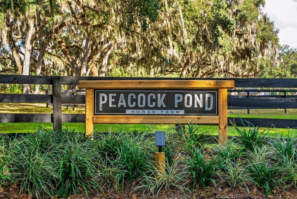 Image 3 of 98 For 8583 130th Street