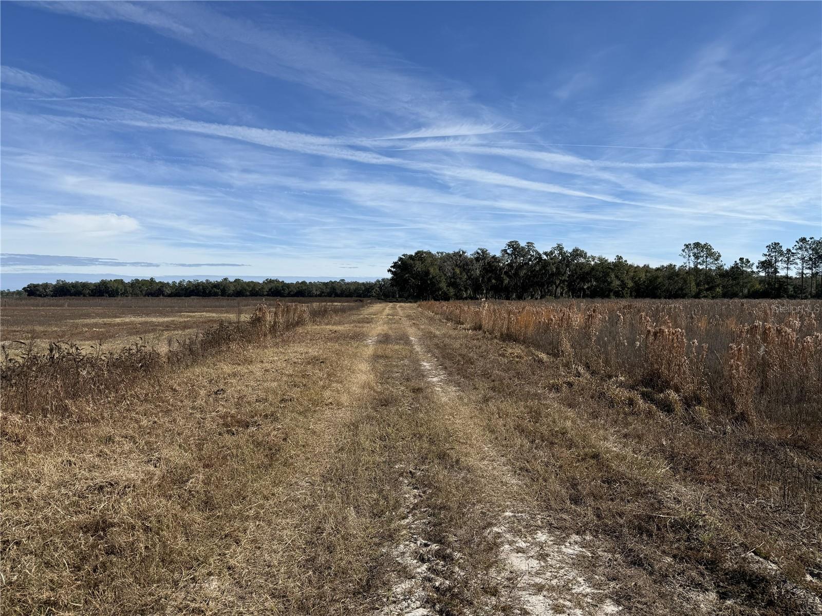 Image 2 of 7 For 216ac 85th Ave Rd