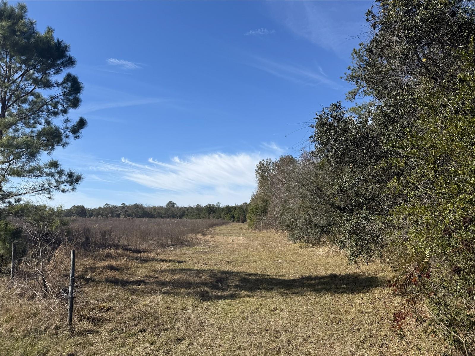 Image 5 of 7 For 216ac 85th Ave Rd