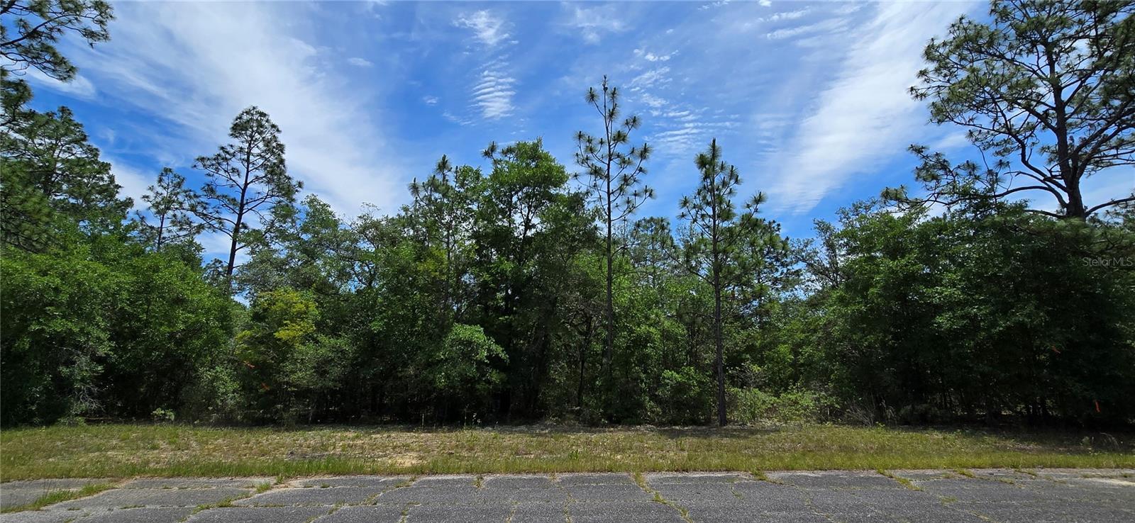 Details for Lot 18 Unit 1 Blk 6 Fusion Circle, CHIPLEY, FL 32428