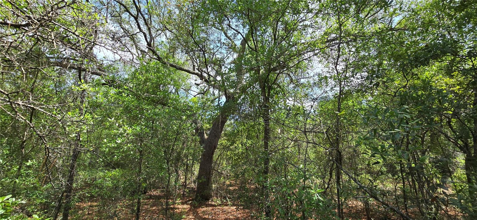 Image 8 of 17 For Lot 18 Unit 1 Blk 6 Fusion Circle