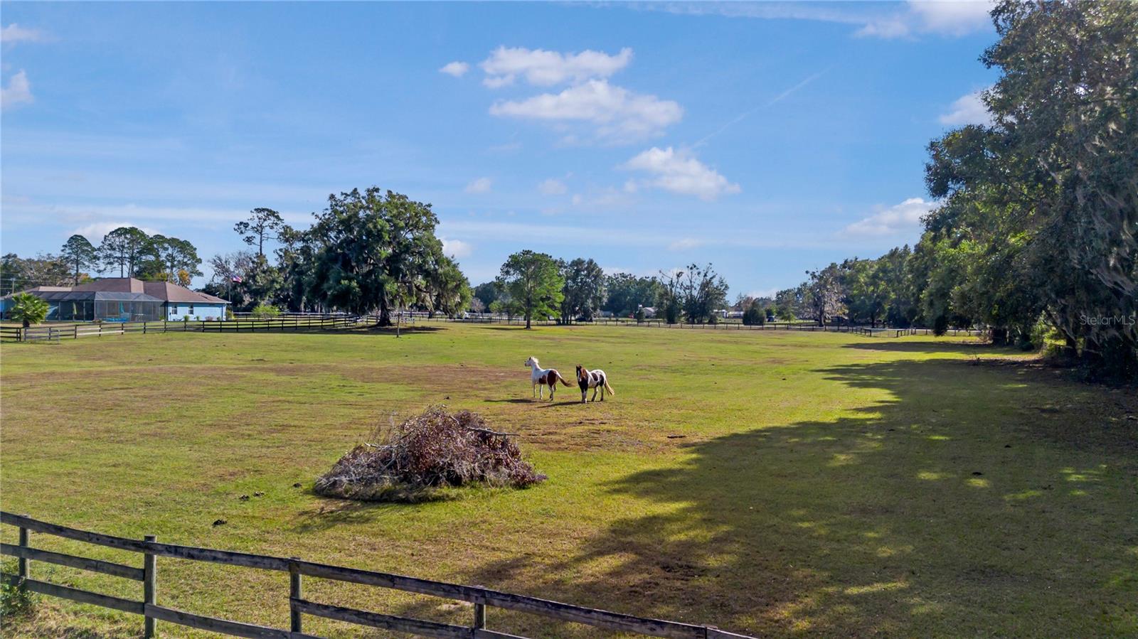 Listing photo id 3 for 16421 Highway 326