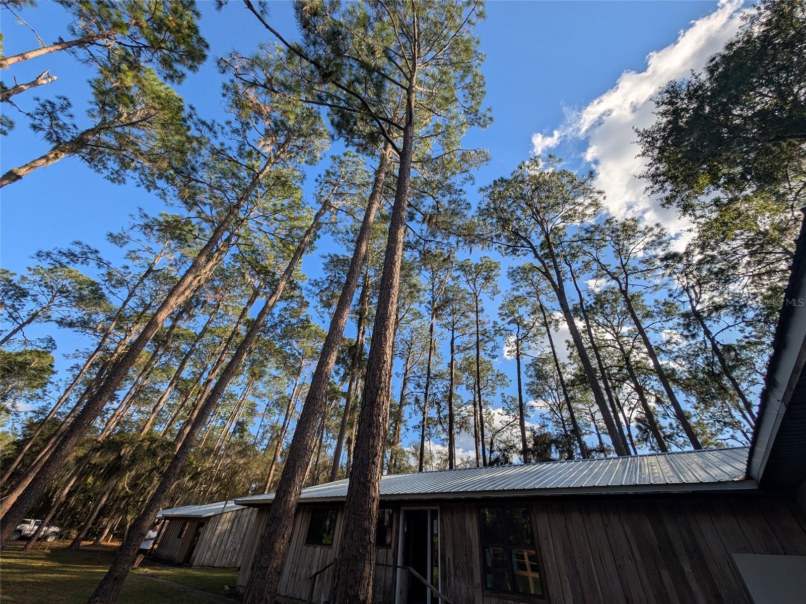 Image 17 of 48 For 161 Riley Lake Drive