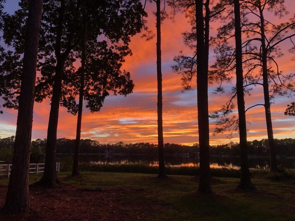 Image 5 of 48 For 161 Riley Lake Drive