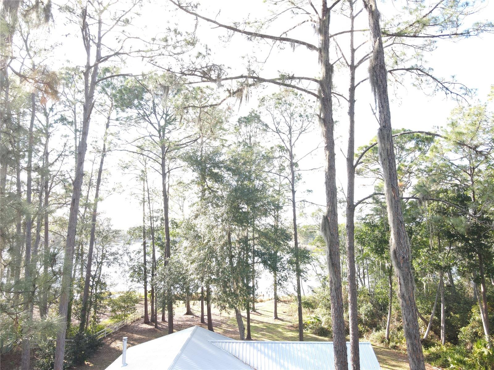 Image 7 of 48 For 161 Riley Lake Drive