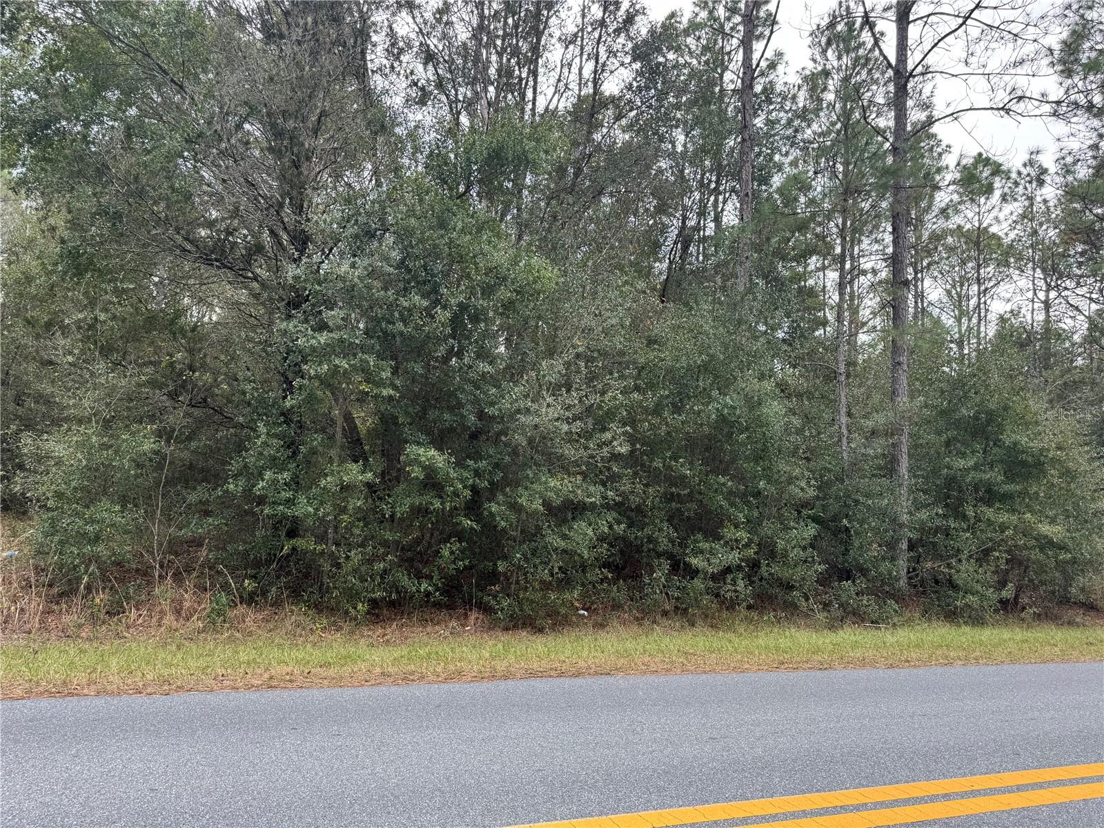 Image 2 of 7 For Beach Boulevard