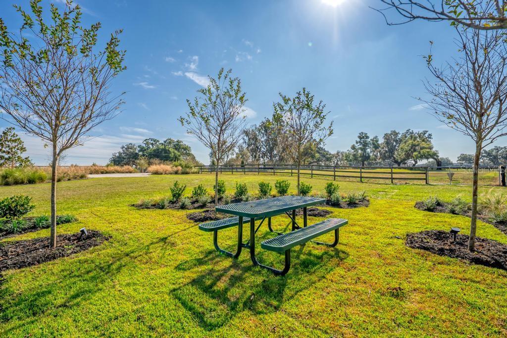 Image 26 of 95 For 15305 112th Place Road