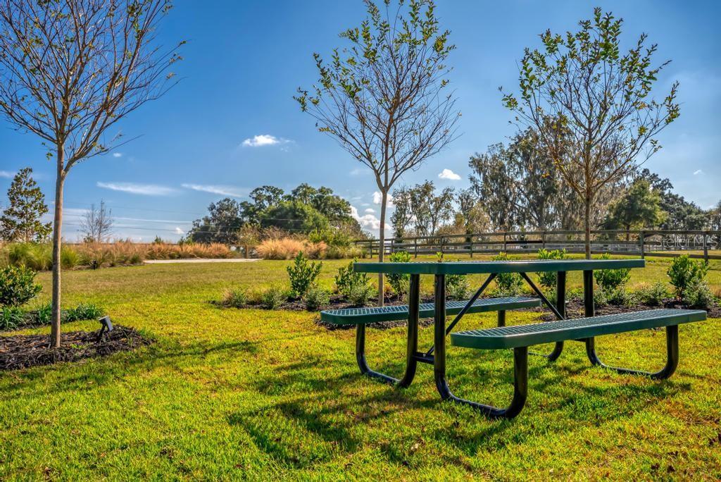 Image 33 of 95 For 15305 112th Place Road