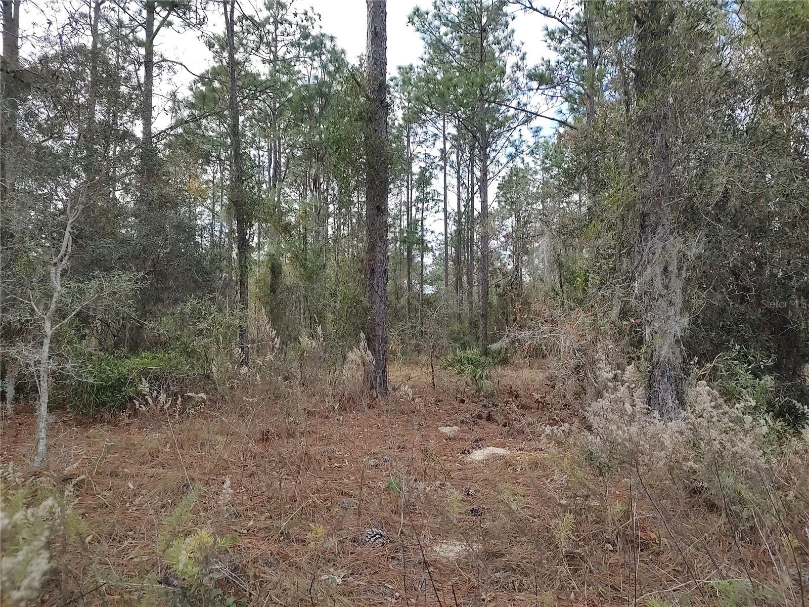 Image 10 of 17 For  120 Court 