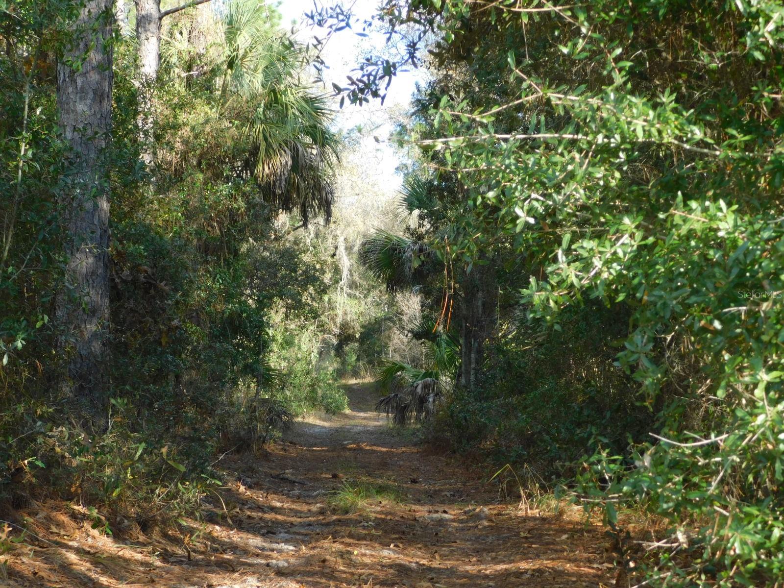 Image 11 of 17 For  120 Court 