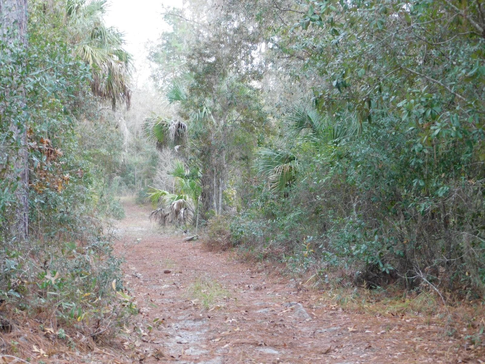 Image 12 of 17 For  120 Court 