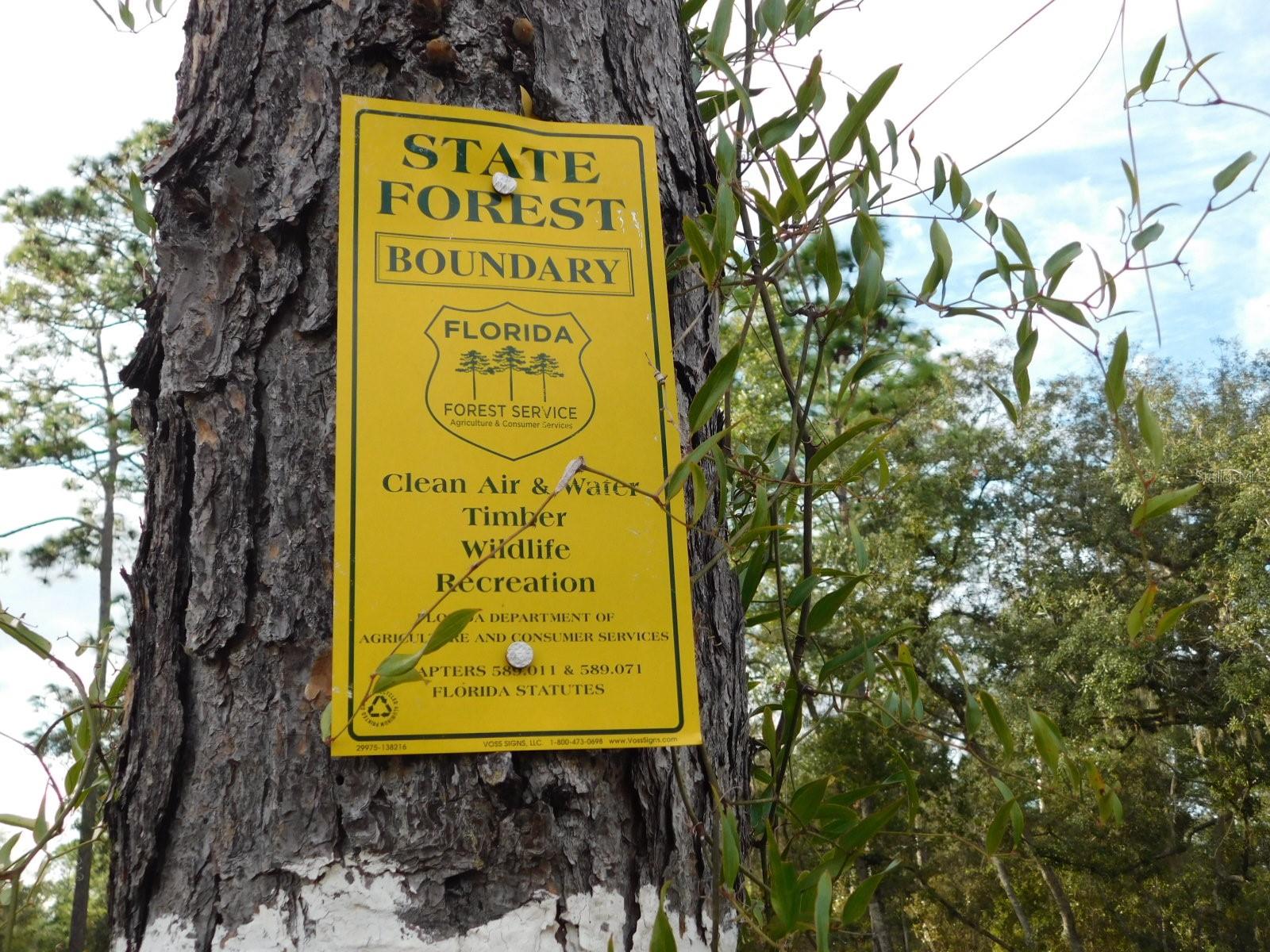 Image 13 of 17 For  120 Court 