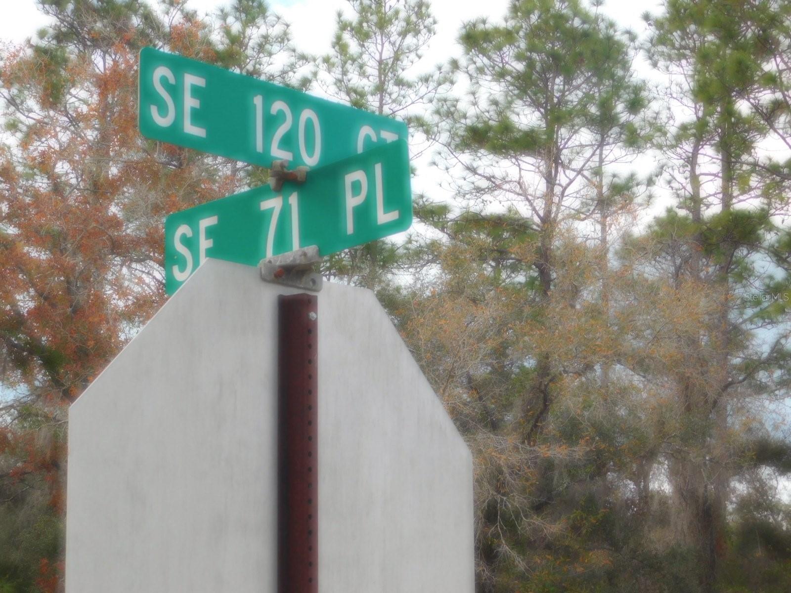 Image 15 of 17 For  120 Court 