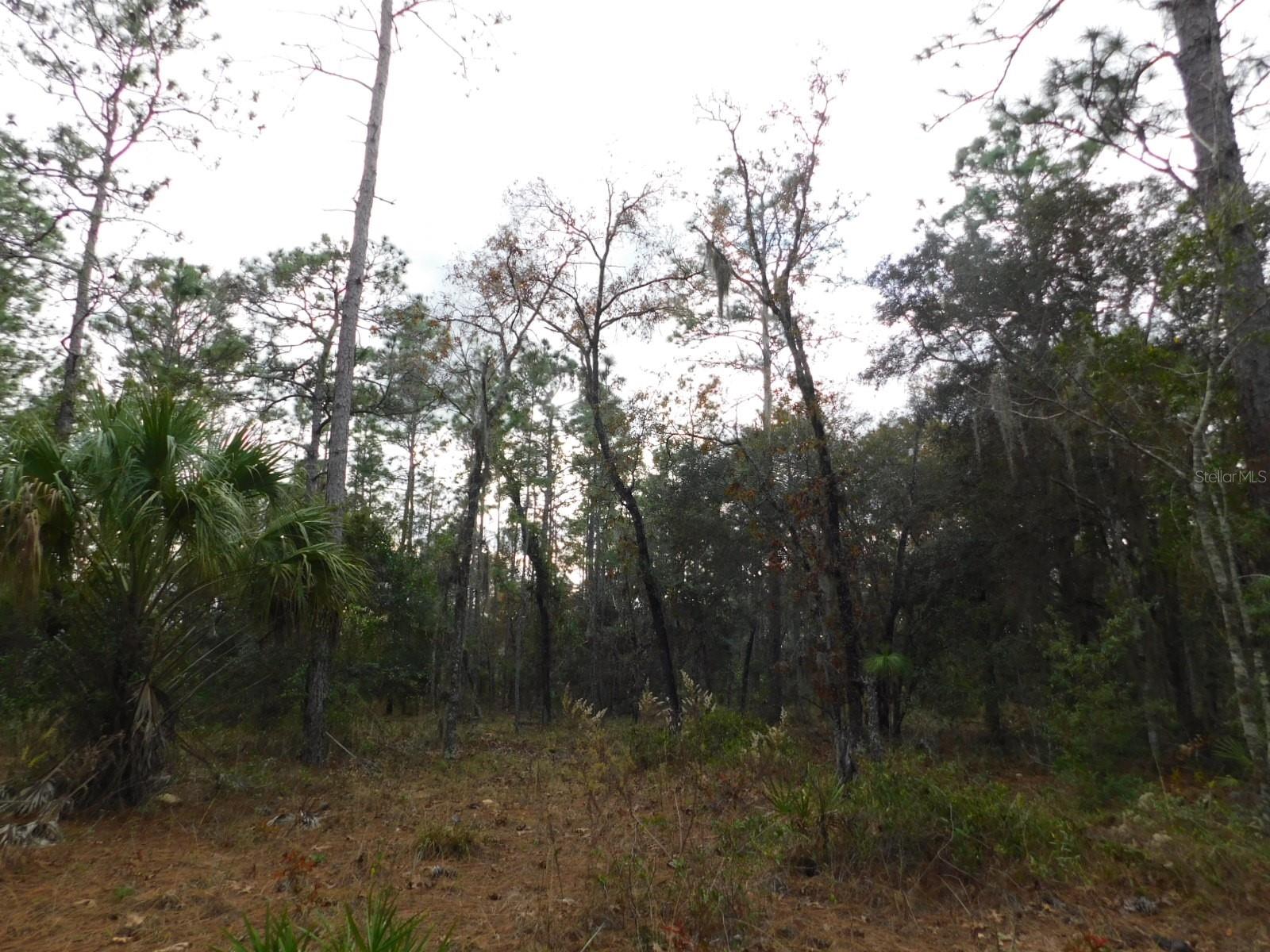 Image 6 of 17 For  120 Court 