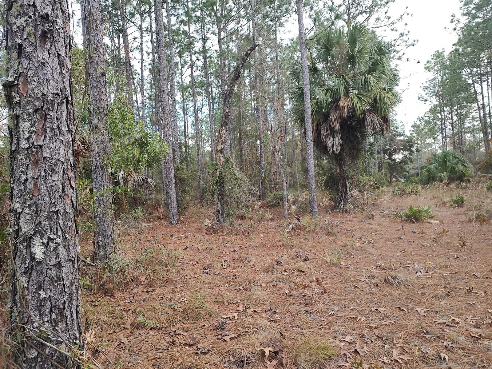 Image 8 of 17 For  120 Court 