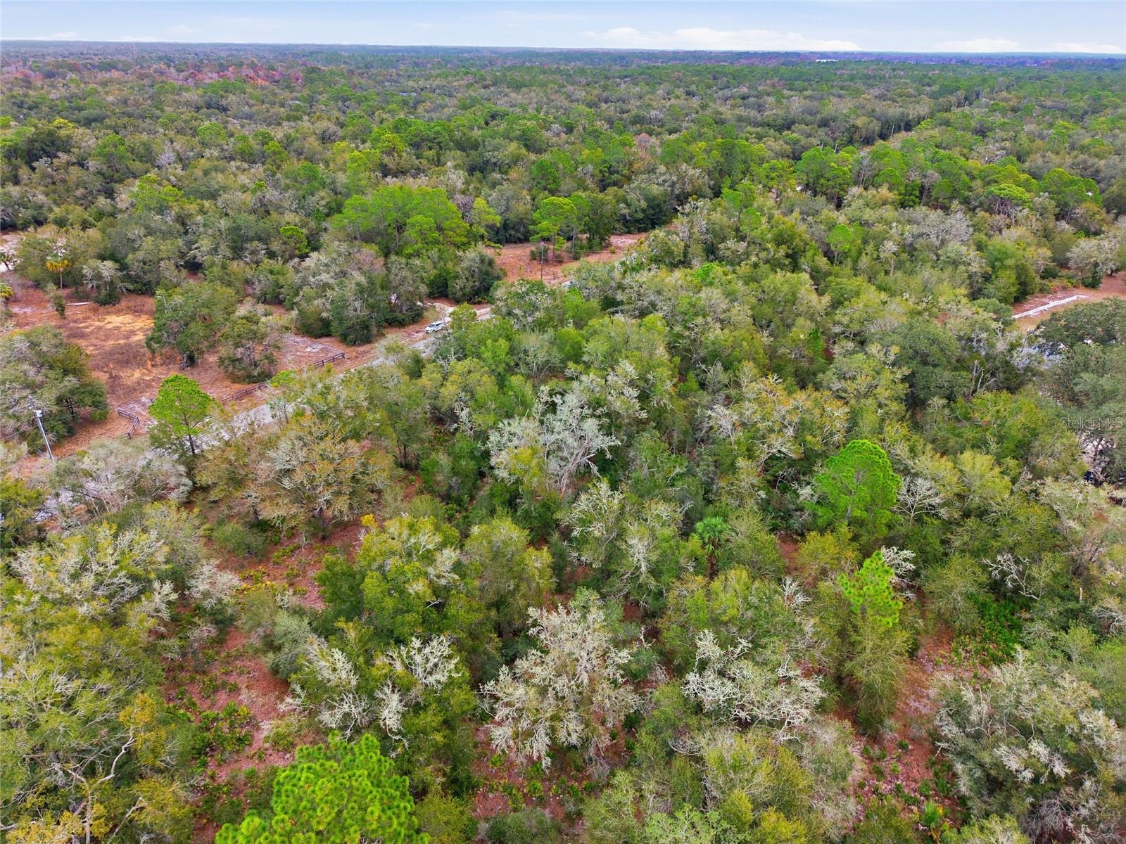 Image 17 of 27 For 9920 Pink Moss Point