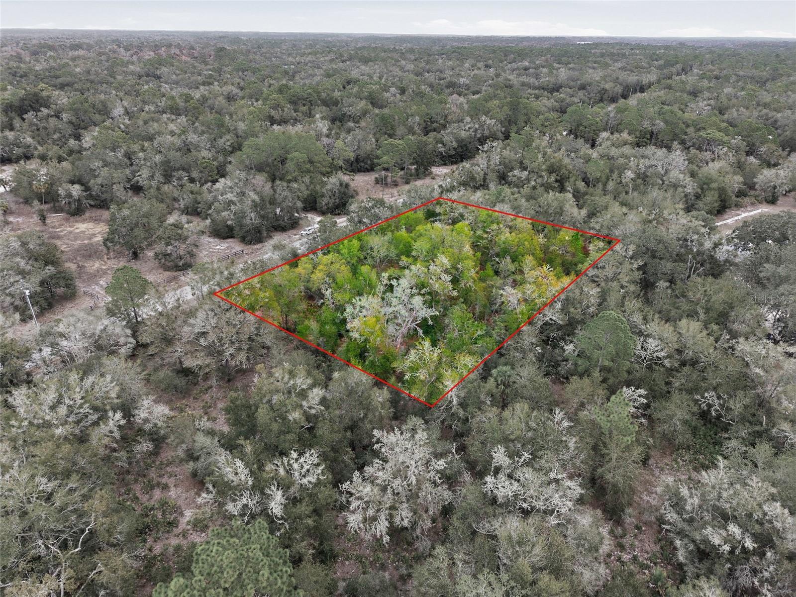 Image 18 of 27 For 9920 Pink Moss Point