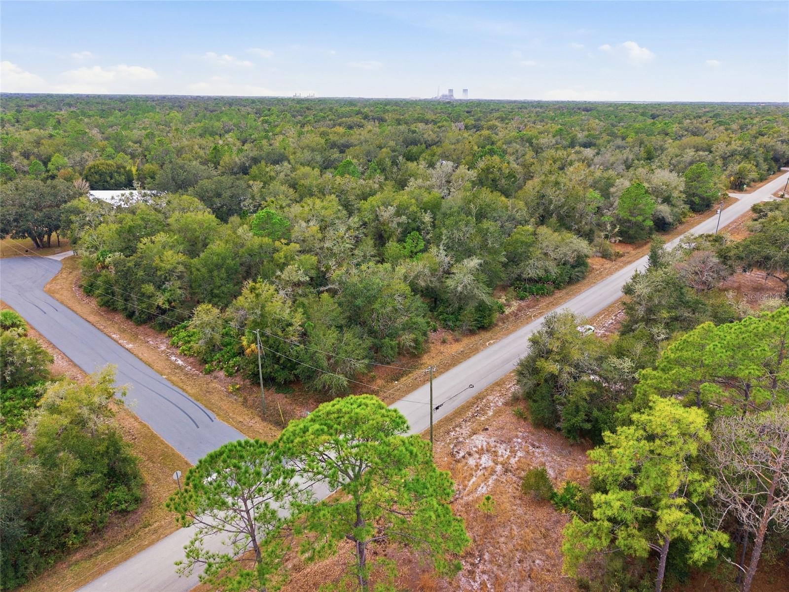 Image 21 of 27 For 9920 Pink Moss Point