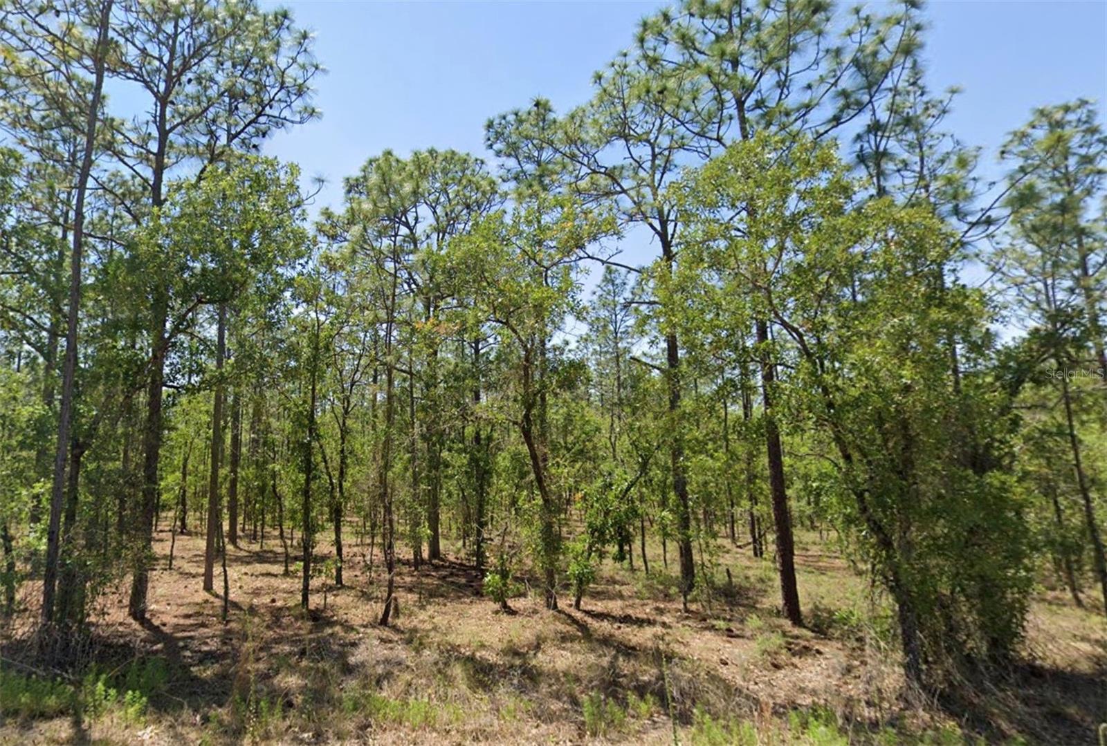 Details for 00 Narcissus Road, DUNNELLON, FL 34431