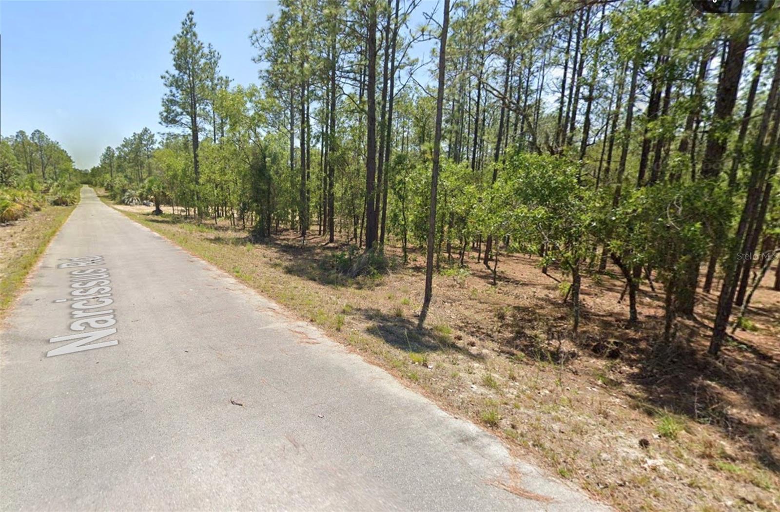 Image 2 of 4 For 00 Narcissus Road
