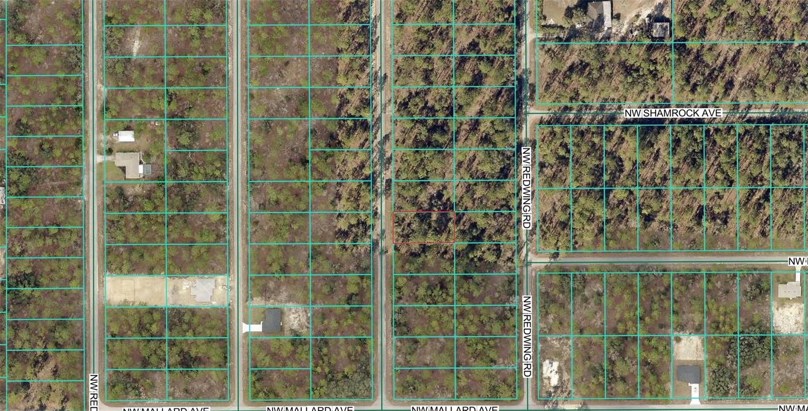 Image 4 of 4 For 00 Narcissus Road