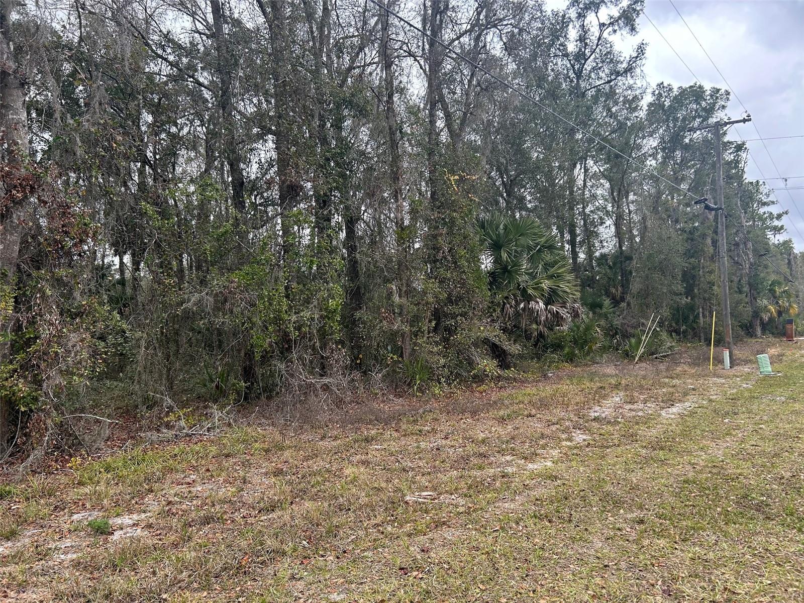 Image 4 of 6 For Tbd Highway 316