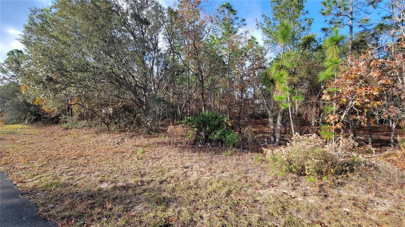 Image 2 of 12 For 4312 Deckwood Drive