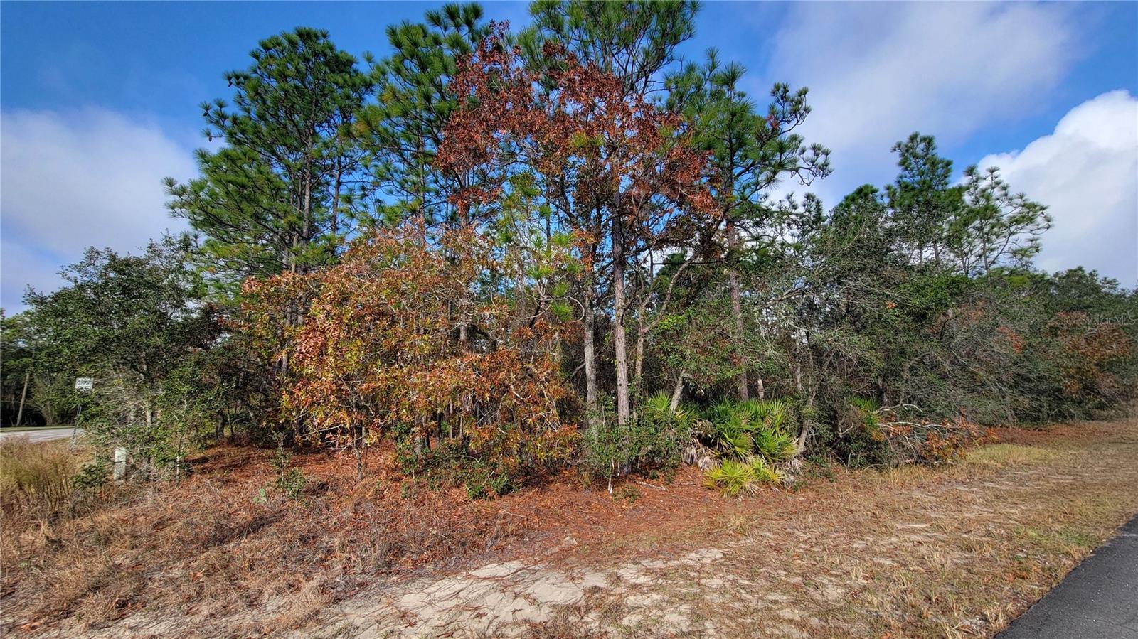 Image 3 of 12 For 4312 Deckwood Drive