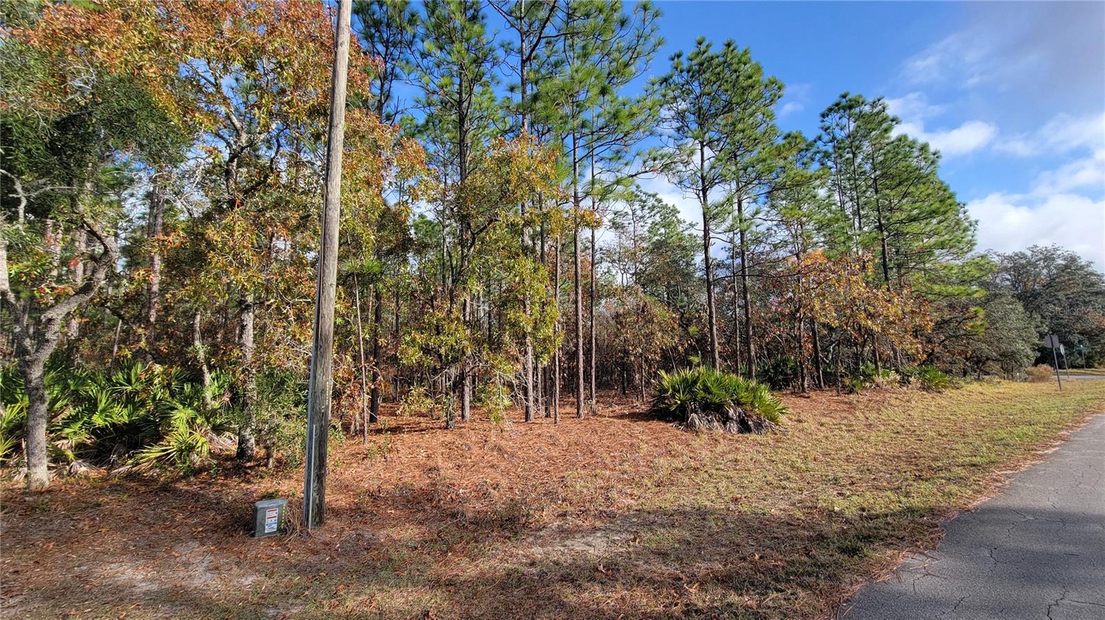 Image 4 of 12 For 4312 Deckwood Drive