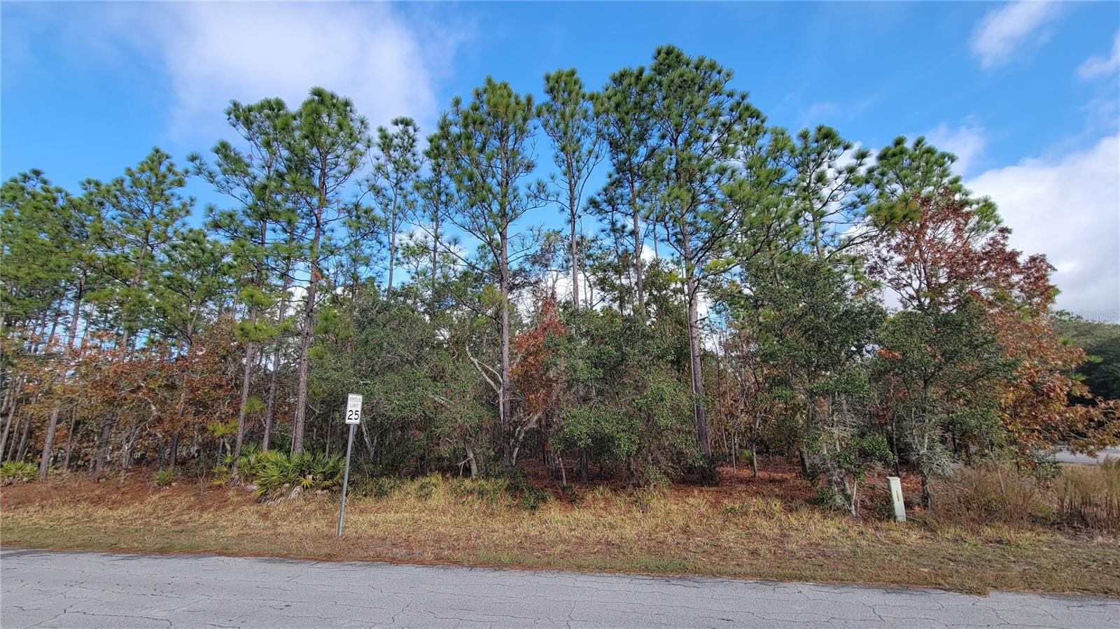 Image 5 of 12 For 4312 Deckwood Drive