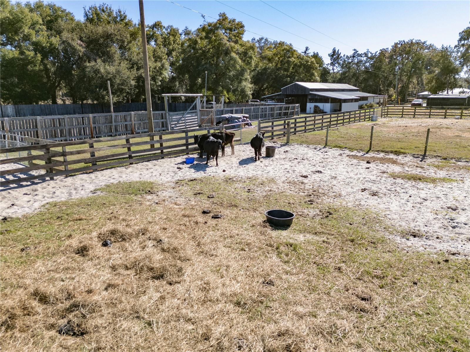 Image 56 of 77 For 17885 2nd Place