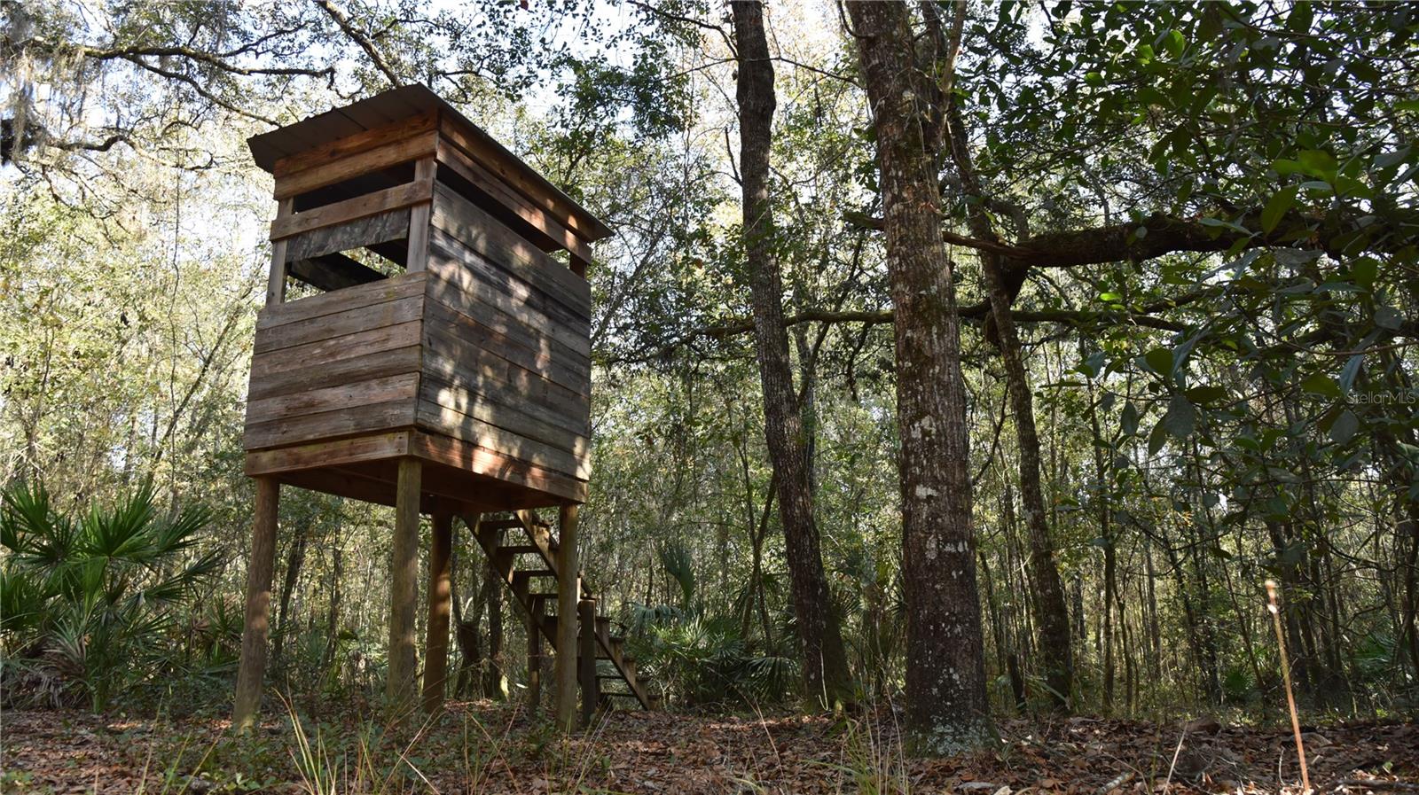 Image 11 of 57 For 81 Clouds Ave