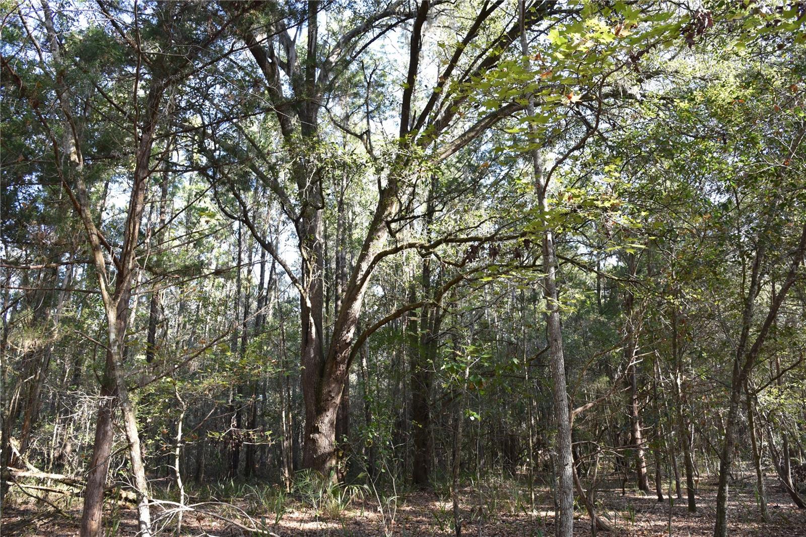 Image 14 of 57 For 81 Clouds Ave