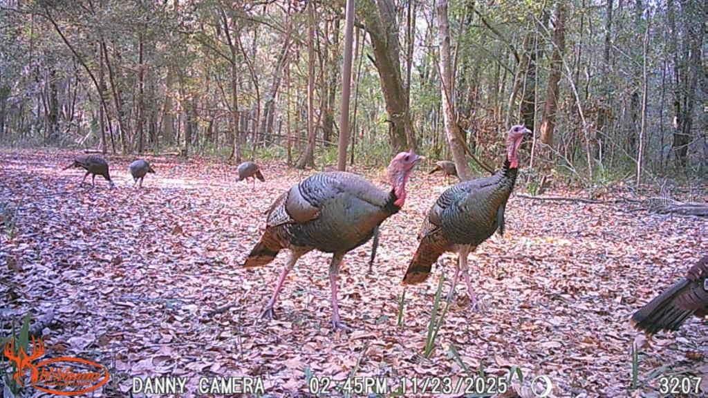 Image 19 of 57 For 81 Clouds Ave