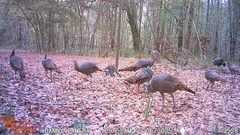 Image 20 of 57 For 81 Clouds Ave