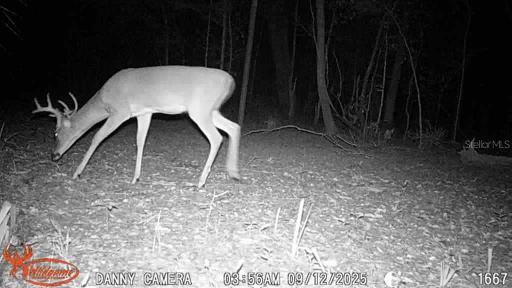 Image 21 of 57 For 81 Clouds Ave