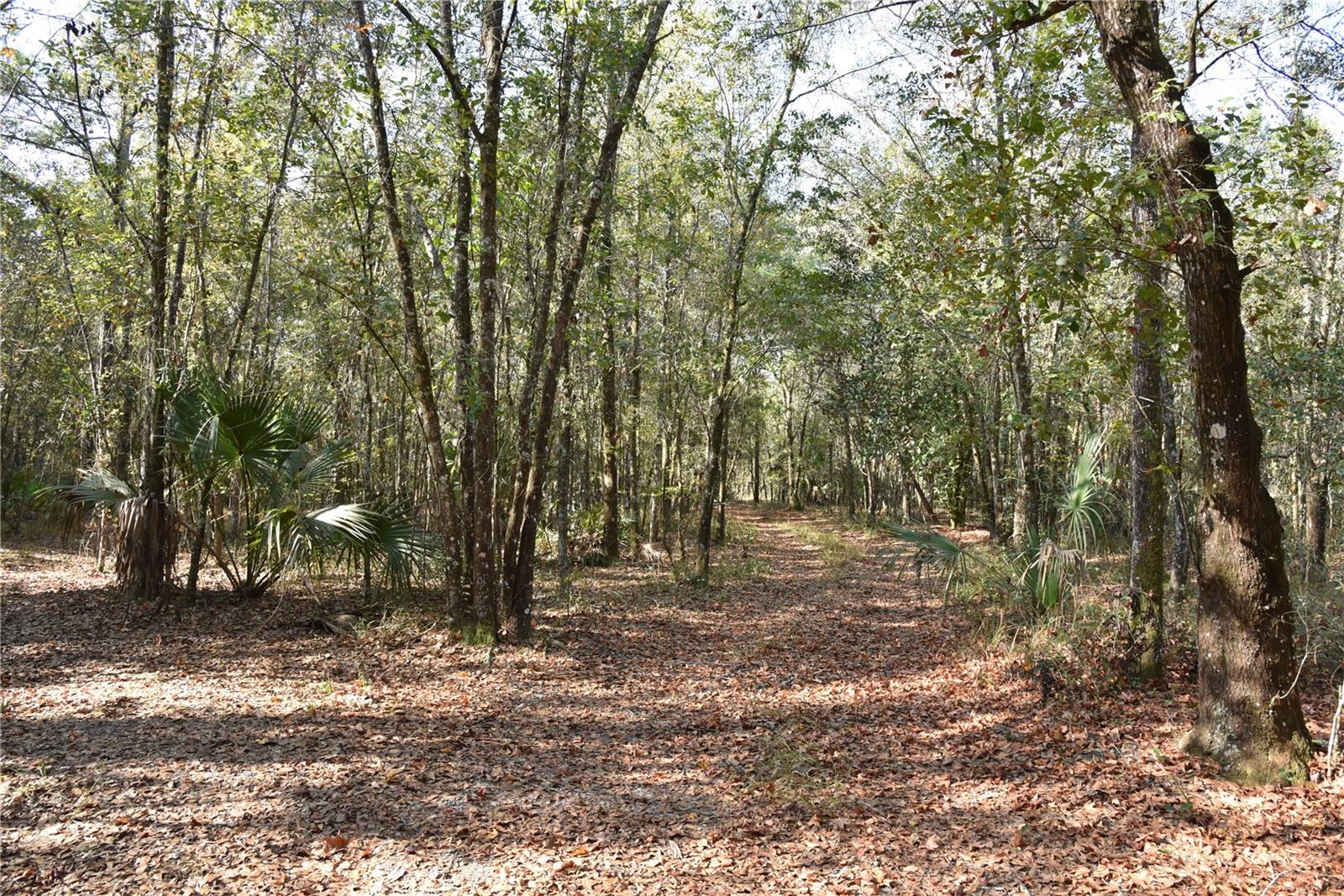 Image 23 of 57 For 81 Clouds Ave