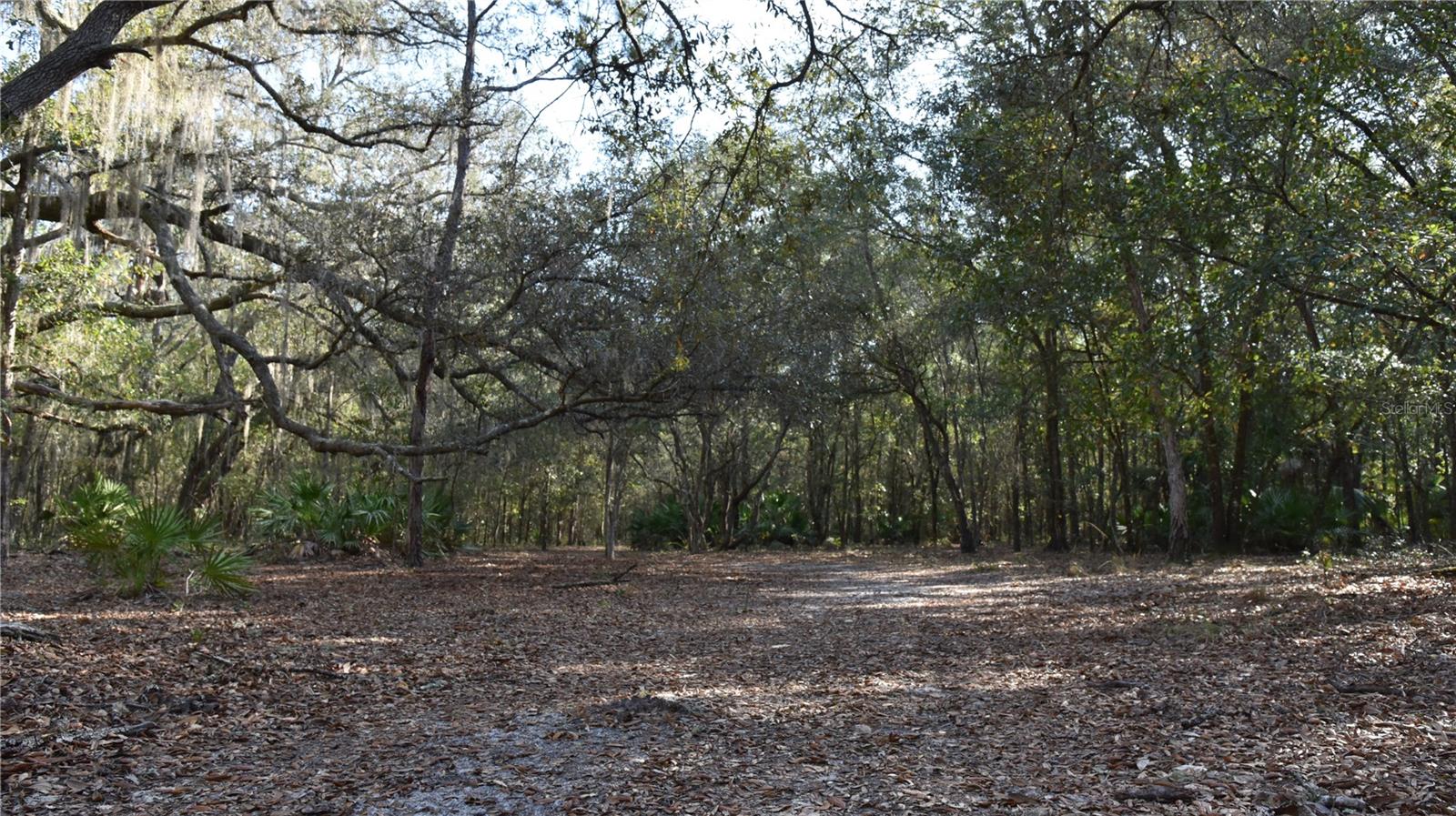 Image 24 of 57 For 81 Clouds Ave