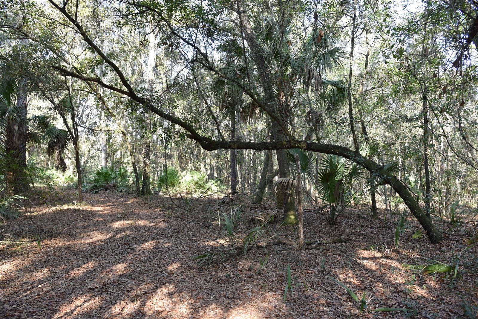 Image 25 of 57 For 81 Clouds Ave