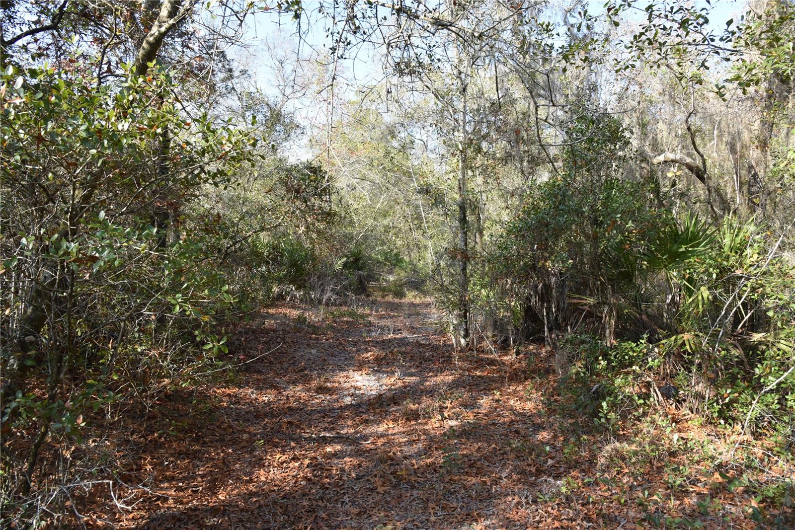 Image 26 of 57 For 81 Clouds Ave