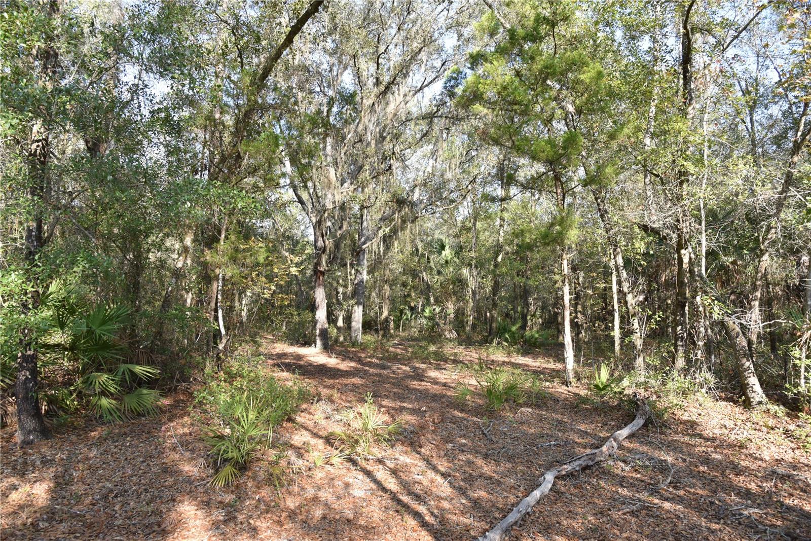 Image 27 of 57 For 81 Clouds Ave